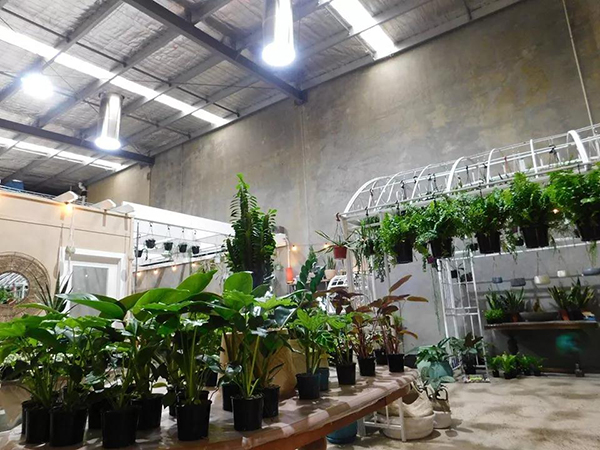 索樂(lè)圖光導(dǎo)照明系統(tǒng)