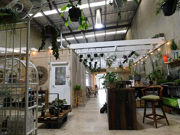 索樂(lè)圖導(dǎo)光管應(yīng)用于餐廳