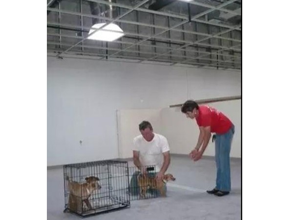 導光管照明，為寵物體驗店所提供理想的照明策略